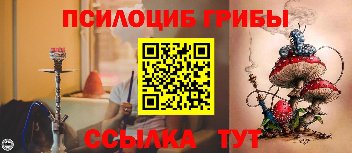 Псилоцибиновые грибы ЛСД Петрозаводск